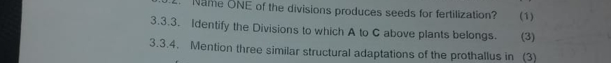 Name ONE of the divisions produces seeds for fertilization? (1) 
3.3.3. Identify the Divisions to which A to C above plants belongs. (3) 
3.3.4. Mention three similar structural adaptations of the prothallus in (3)