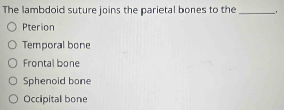 The lambdoid suture joins the parietal bones to the _.
Pterion
Temporal bone
Frontal bone
Sphenoid bone
Occipital bone