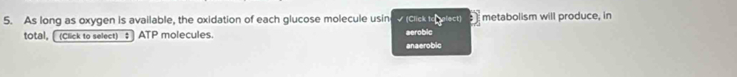 As long as oxygen is available, the oxidation of each glucose molecule usin (Click to elect) :) metabolism will produce, in 
total, _(Click to select) $ ATP molecules. aerobic 
anaerobic