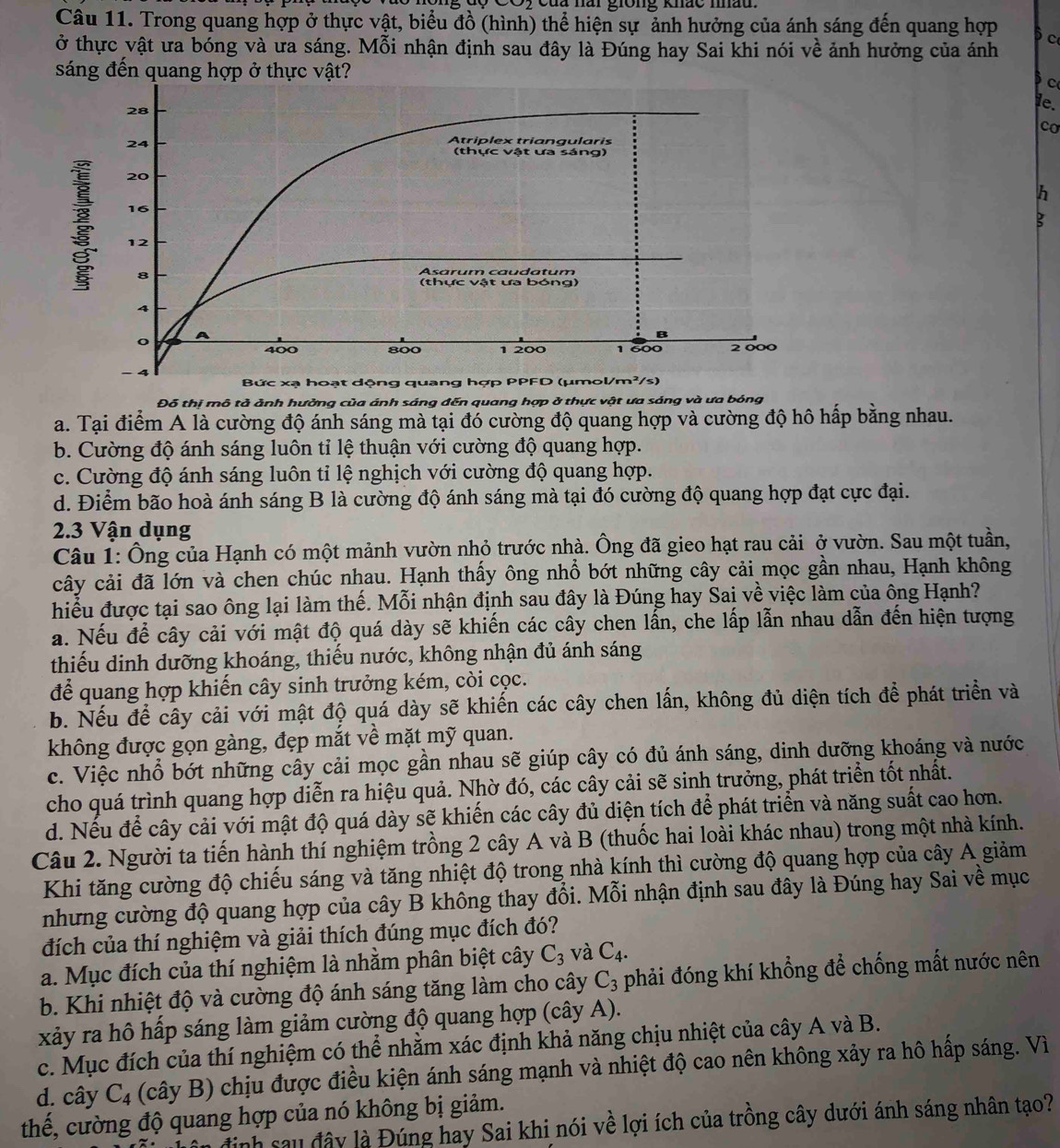 của năi giong khác mhàu
Câu 11. Trong quang hợp ở thực vật, biểu đồ (hình) thể hiện sự ảnh hưởng của ánh sáng đến quang hợp  c
ở thực vật ưa bóng và ưa sáng. Mhat oi nhận định sau đây là Đúng hay Sai khi nói về ảnh hưởng của ánh
sáng đến quang hợp ở thực vật?
c
28
de.
co
24
Atriplex triangularis
(thực vật ưa sáng)
20
h
16
12
8
Asárum caudatum
(thực vật ưa bóng)
4
o A
B
400 800 1 200 1 600 2000
− 4
Bức xạ hoạt dộng quang hợp PPFD (µmol/m²/s)
Đỗ thi mô tả ảnh hưởng của ánh sáng đến quang hợp ở thực vật ưa sáng và ưa bóng
a. Tại điểm A là cường độ ánh sáng mà tại đó cường độ quang hợp và cường độ hô hấp bằng nhau.
b. Cường độ ánh sáng luôn tỉ lệ thuận với cường độ quang hợp.
c. Cường độ ánh sáng luôn tỉ lệ nghịch với cường độ quang hợp.
d. Điểm bão hoà ánh sáng B là cường độ ánh sáng mà tại đó cường độ quang hợp đạt cực đại.
2.3 Vận dụng
Câu 1: Ông của Hạnh có một mảnh vườn nhỏ trước nhà. Ông đã gieo hạt rau cải ở vườn. Sau một tuần,
cây cải đã lớn và chen chúc nhau. Hạnh thấy ông nhổ bớt những cây cải mọc gần nhau, Hạnh không
hiểu được tại sao ông lại làm thế. Mỗi nhận định sau đây là Đúng hay Sai về việc làm của ông Hạnh?
a. Nếu để cây cải với mật độ quá dày sẽ khiến các cây chen lấn, che lấp lẫn nhau dẫn đến hiện tượng
thiếu dinh dưỡng khoáng, thiếu nước, không nhận đủ ánh sáng
để quang hợp khiến cây sinh trưởng kém, còi cọc.
b. Nếu để cây cải với mật độ quá dày sẽ khiến các cây chen lấn, không đủ diện tích để phát triển và
không được gọn gàng, đẹp mắt về mặt mỹ quan.
c. Việc nhổ bớt những cây cải mọc gần nhau sẽ giúp cây có đủ ánh sáng, dinh dưỡng khoáng và nước
cho quá trình quang hợp diễn ra hiệu quả. Nhờ đó, các cây cải sẽ sinh trưởng, phát triển tốt nhất.
d. Nếu để cây cải với mật độ quá dày sẽ khiến các cây đủ diện tích để phát triển và năng suất cao hơn.
Câu 2. Người ta tiến hành thí nghiệm trồng 2 cây A và B (thuốc hai loài khác nhau) trong một nhà kính.
Khi tăng cường độ chiếu sáng và tăng nhiệt độ trong nhà kính thì cường độ quang hợp của cây A giảm
nhưng cường độ quang hợp của cây B không thay đổi. Mỗi nhận định sau đây là Đúng hay Sai về mục
đích của thí nghiệm và giải thích đúng mục đích đó?
a. Mục đích của thí nghiệm là nhằm phân biệt cây C_3 và C_4.
b. Khi nhiệt độ và cường độ ánh sáng tăng làm cho cây C_3 phải đóng khí khổng để chống mất nước nên
xảy ra hô hấp sáng làm giảm cường độ quang hợp (cây A).
c. Mục đích của thí nghiệm có thể nhằm xác định khả năng chịu nhiệt của cây A và B.
d. cây C_4 (cây B) chịu được điều kiện ánh sáng mạnh và nhiệt độ cao nên không xảy ra hô hấp sáng. Vì
thế, cường độ quang hợp của nó không bị giảm.
ân định sau đây là Đúng hay Sai khi nói về lợi ích của trồng cây dưới ánh sáng nhân tạo?