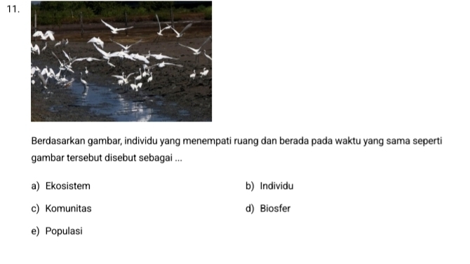 Berdasarkan gambar, individu yang menempati ruang dan berada pada waktu yang sama seperti
gambar tersebut disebut sebagai ...
a) Ekosistem b) Individu
c) Komunitas d) Biosfer
e) Populasi