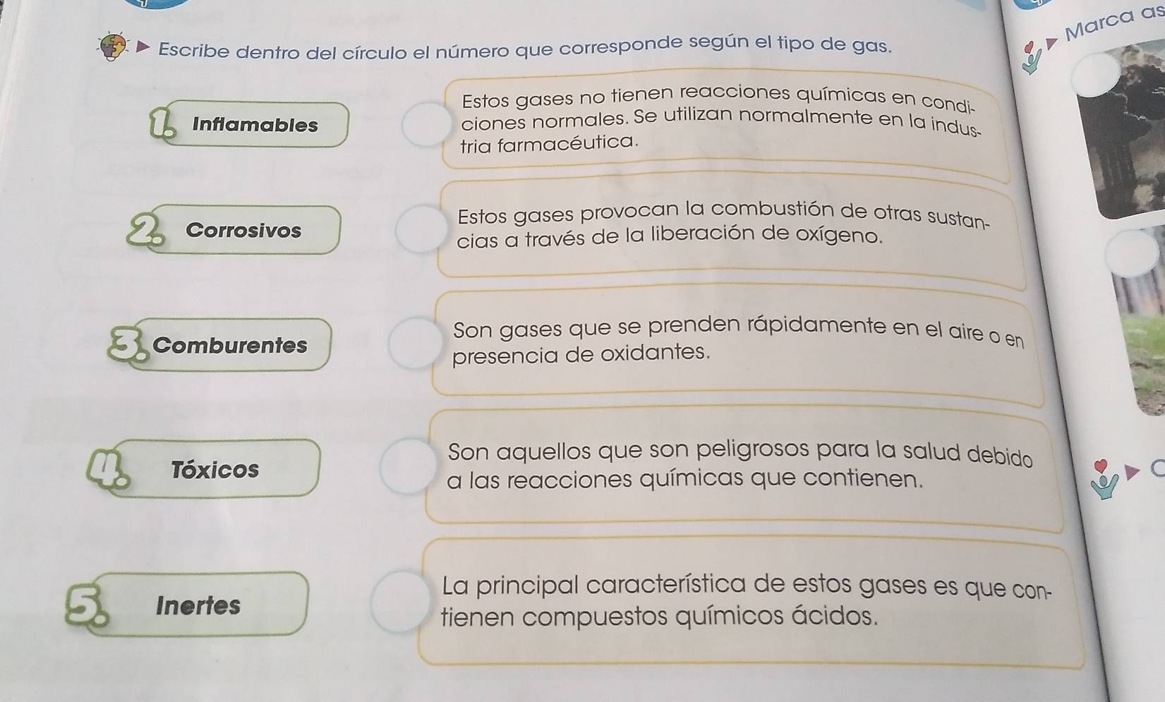 Marca as 
Escribe dentro del círculo el número que corresponde según el tipo de gas. 
Estos gases no tienen reacciones químicas en condi- 
Inflamables 
ciones normales. Se utilizan normalmente en la indus- 
tria farmacéutica. 
Corrosivos 
Estos gases provocan la combustión de otras sustan- 
cias a través de la liberación de oxígeno. 
Comburentes 
Son gases que se prenden rápidamente en el aire o en 
presencia de oxidantes. 
Son aquellos que son peligrosos para la salud debido 
Tóxicos 
a las reacciones químicas que contienen. 
La principal característica de estos gases es que con- 
Inertes 
tienen compuestos químicos ácidos.