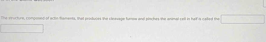 The structure, composed of actin filaments, that produces the cleavage furrow and pinches the animal cell in half is called the