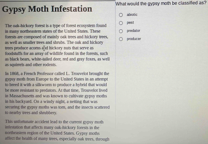 What would the gypsy moth be classified as? 
Gypsy Moth Infestation 
abiotic 
The oak-hickory forest is a type of forest ecosystem found pest 
in many northeastern states of the United States. These predator 
forests are composed of mainly oak trees and hickory trees, 
as well as smaller trees and shrubs. The oak and hickory producer 
trees produce acorns and hickory nuts that serve as 
foodstuffs for an array of wildlife found in the forests, such 
as black bears, white-tailed deer, red and gray foxes, as well 
as squirrels and other rodents. 
In 1868, a French Professor called L. Trouvelot brought the 
gypsy moth from Europe to the United States in an attempt 
to breed it with a silkworm to produce a hybrid that would 
be more resistant to predators. At that time, Trouvelot lived 
in Massachusetts and was known to cultivate gypsy moths 
in his backyard. On a windy night, a netting that was 
securing the gypsy moths was torn, and the insects scattered 
to nearby trees and shrubbery. 
This unfortunate accident lead to the current gypsy moth 
infestation that affects many oak-hickory forests in the 
northeastern region of the United States. Gypsy moths 
affect the health of many trees, especially oak trees, through