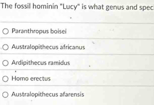 The fossil hominin "Lucy" is what genus and spec
Paranthropus boisei
Australopithecus africanus
Ardipithecus ramidus
Homo erectus
Australopithecus afarensis