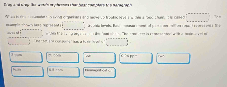 Solved: Drag and drop the words or phrases that best complete the ...