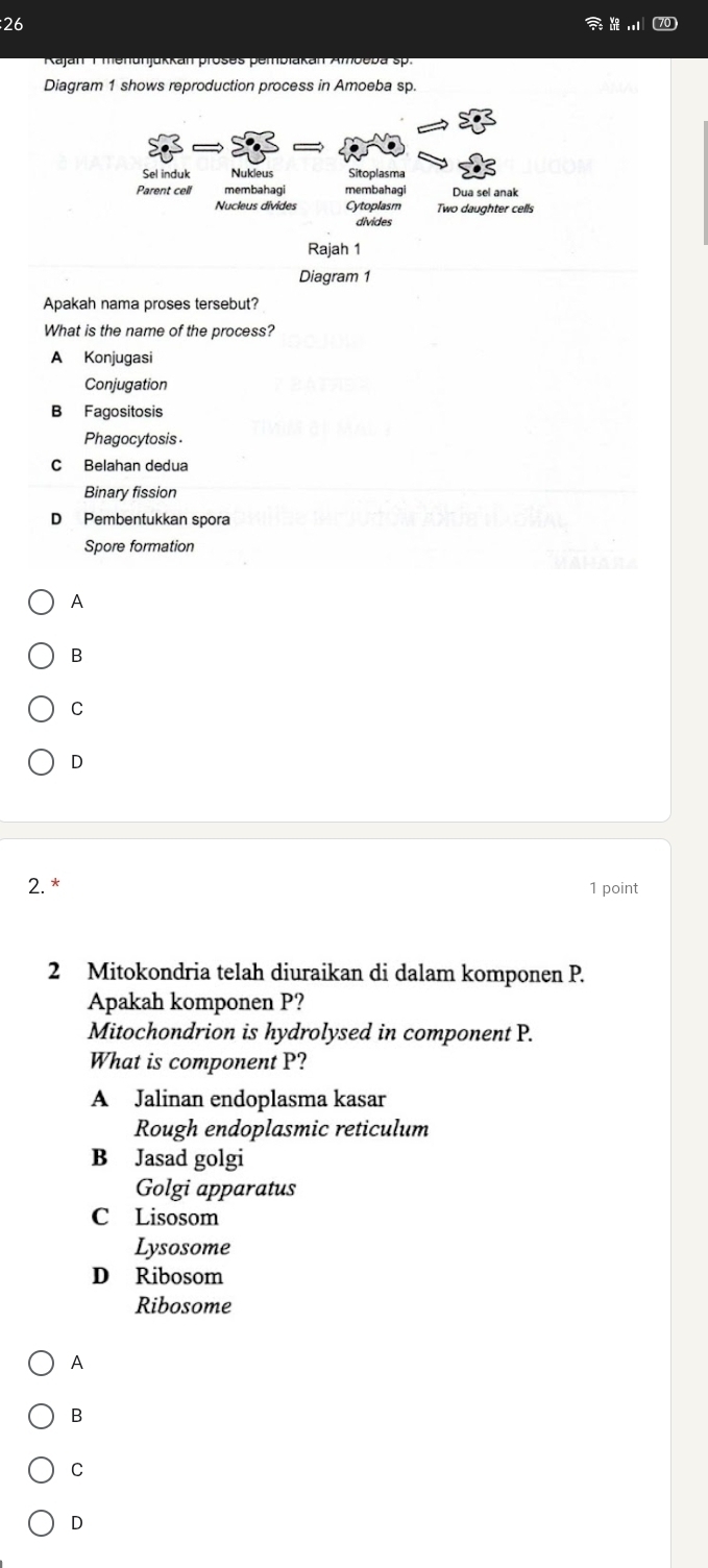 26 70
Diagram 1 shows reproduction process in Amoeba sp.
Sel induk Nukleus Sitoplasma
Parent celf membahagi membahagi Dua sel anak
Nucleus divides Cytoplasm Two daughter cells
divides
Rajah 1
Diagram 1
Apakah nama proses tersebut?
What is the name of the process?
A Konjugasi
Conjugation
B Fagositosis
Phagocytosis
C Belahan dedua
Binary fission
D Pembentukkan spora
Spore formation
A
B
C
D
2. * 1 point
2 Mitokondria telah diuraikan di dalam komponen P.
Apakah komponen P?
Mitochondrion is hydrolysed in component P.
What is component P?
A Jalinan endoplasma kasar
Rough endoplasmic reticulum
B Jasad golgi
Golgi apparatus
C Lisosom
Lysosome
D Ribosom
Ribosome
A
B
C
D