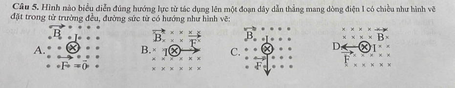 Hình nào biểu diễn đúng hướng lực từ tác dụng lên một đoạn dây dẫn thẳng mang dòng điện I có chiều như hình vẽ
đặt trong từ trường đều, đường sức từ có hướng như hình vẽ:
x* x* xto
vector B_x* *  (x* x)/F^x  B
x* x* B*
A.
B. *^7( C.
D I^(* *)
* * * * * *
· F· =vector 0