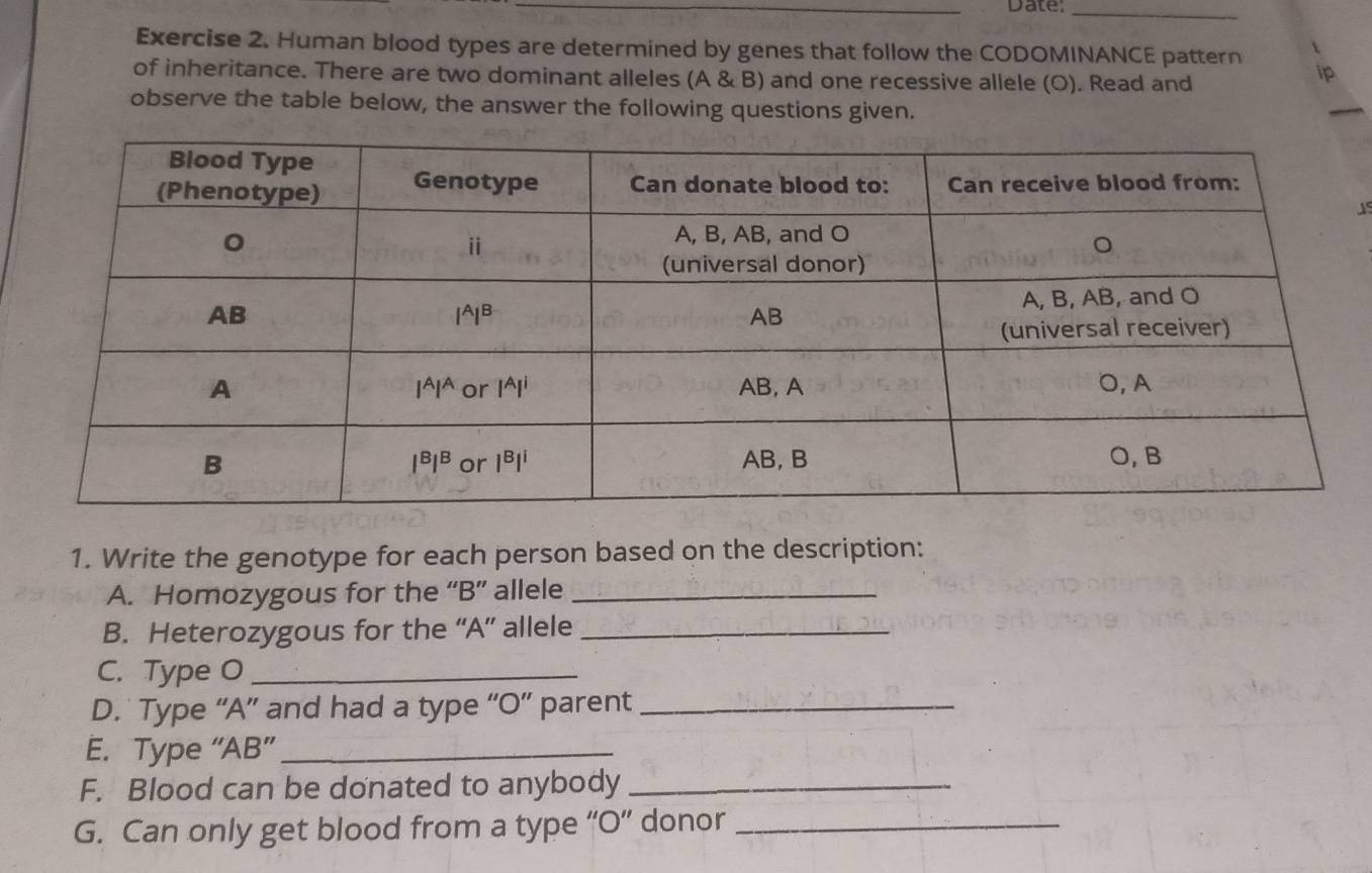 Date:_
Exercise 2. Human blood types are determined by genes that follow the CODOMINANCE pattern 
of inheritance. There are two dominant alleles (A & B) and one recessive allele (O). Read and
ip
observe the table below, the answer the following questions given.
_
JS
1. Write the genotype for each person based on the description:
A. Homozygous for the “B” allele_
B. Heterozygous for the “A” allele_
C. Type O_
D. Type “A” and had a type “O” parent_
E. Type “AB”_
F. Blood can be donated to anybody_
G. Can only get blood from a type “O” donor_