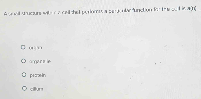 A small structure within a cell that performs a particular function for the cell is a(n) _
organ
organelle
protein
cilium