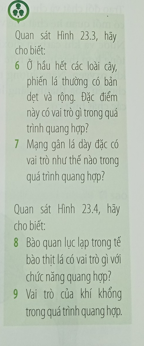 Quan sát Hình 23.3, hãy 
cho biết:
6 Ở hầu hết các loài cây, 
phiến lá thường có bản 
dẹt và rộng. Đặc điểm 
này có vai trò gì trong quá 
trình quang hợp?
7 Mạng gân lá dày đặc có 
vai trò như thế nào trong 
quá trình quang hợp? 
Quan sát Hình 23.4, hãy 
cho biết: 
8 Bào quan lục lạp trong tế 
bào thịt lá có vai trò gì với 
chức năng quang hợp? 
9 Vai trò của khí khổng 
trong quá trình quang hợp.