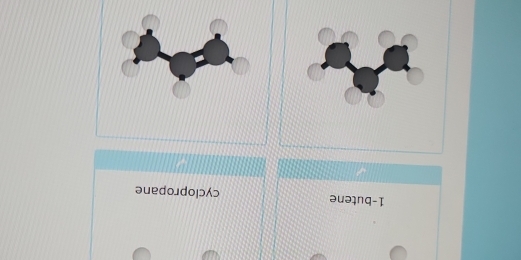 1-butene cyclopropane