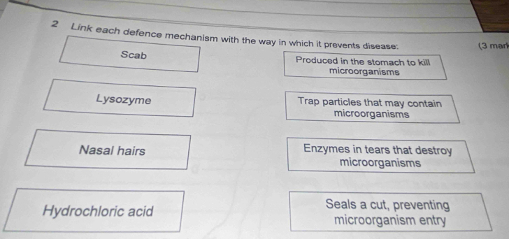 Link each defence mechanism with the way in which it prevents disease:
(3 mar
Scab Produced in the stomach to kill
microorganisms
Lysozyme Trap particles that may contain
microorganisms
Nasal hairs Enzymes in tears that destroy
microorganisms
Hydrochloric acid
Seals a cut, preventing
microorganism entry