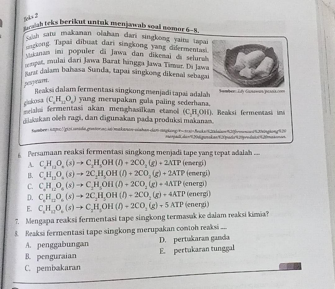 Teks 2
Bacalah teks berikut untuk menjawab soal nomor 6-8.
Salah satu makanan olahan dari singkong yaitu tapai
singkong. Tapai dibuat dari singkong yang difermentasi.
Makanan ini populer di Jawa dan dikenal di seluruh
tempat, mulai dari Jawa Barat hingga Jawa Timur. Di Jawa
Barat dalam bahasa Sunda, tapai singkong dikenal sebaga
peayeum.
Reaksi dalam fermentasi singkong menjadi tapai adalah Sumber: Edy Ganawan/pexcis.com
glukosa (C_6H_12O_6) yang merupakan gula paling sederhana,
melalui fermentasi akan menghasilkan etanol (C_2H_5OH). Reaksi fermentasi ini
dilakukan oleh ragi, dan digunakan pada produksi makanan.
Sumber: nttps://gizi.unida.gontor.ac.id/makanan-olahan-dari-singkong/e∞:texi=Reaksi%20dalam%20fermenuast%20singkong%20
menjadi,dan%20digunakan%20pada%20prodaksi%20makanan.
6. Persamaan reaksi fermentasi singkong menjadi tape yang tepat adalah ....
A. C_6H_12O_6(s)to C_2H_5OH(l)+2CO_2(g)+2ATP (energi)
B. C_6H_12O_6(s)to 2C_2H_5OH(l)+2CO_2(g)+2ATP(ene 、 en
C. C_6H_12O_6(s)to C_2H_5OH(l)+2CO_2(g)+4ATP(energi)
D. C_6H_12O_6(s)to 2C_2H_5OH(l)+2CO_2(g)+4ATP(energi)
E. C_6H_12O_6(s)to C_2H_5OH(l)+2CO_2(g)+5ATP(energi)
7. Mengapa reaksi fermentasi tape singkong termasuk ke dalam reaksi kimia?
8. Reaksi fermentasi tape singkong merupakan contoh reaksi ....
A. penggabungan D. pertukaran ganda
B. penguraian E. pertukaran tunggal
C. pembakaran