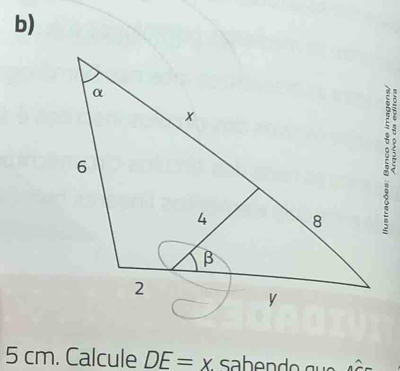 5 cm. Calcule DE=x