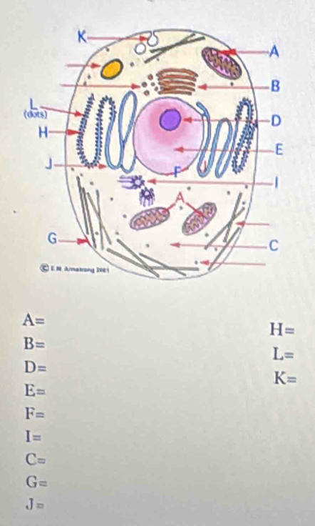 A=
H=
B=
L=
D=
K=
E=
F=
I=
C=
G=
J=