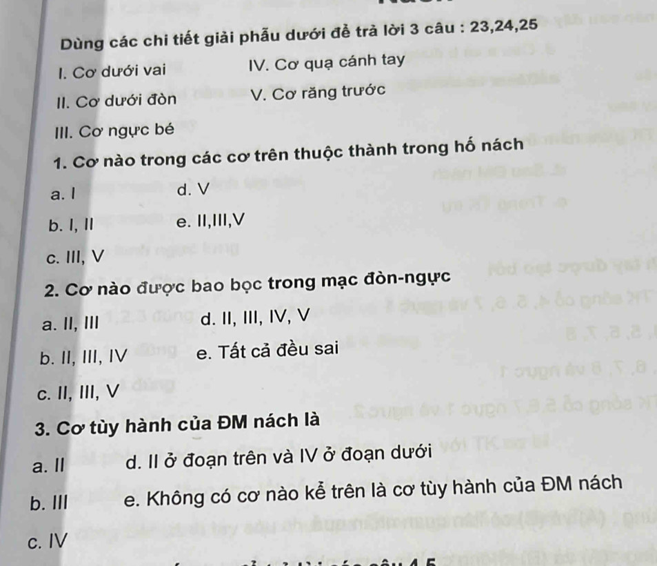 Dùng các chi tiết giải phẫu dưới đề trả lời 3 câu : 23, 24, 25
I. Cơ dưới vai IV. Cơ quạ cánh tay
II. Cơ dưới đòn V. Cơ răng trước
III. Cơ ngực bé
1. Cơ nào trong các cơ trên thuộc thành trong hố nách
a. I d. V
b. I, II e. II,III,V
c. III, V
2. Cơ nào được bao bọc trong mạc đòn-ngực
a. II, III d. II, III, IV, V
b. II, III, IV e. Tất cả đều sai
c. II, III, V
3. Cơ tùy hành của ĐM nách là
a. Il d. II ở đoạn trên và IV ở đoạn dưới
b. III e. Không có cơ nào kể trên là cơ tùy hành của ĐM nách
c. IV