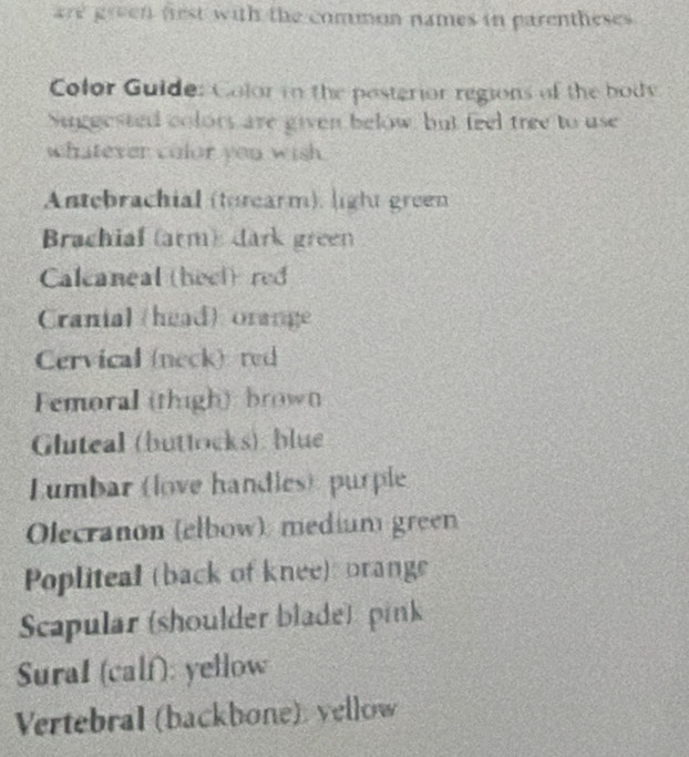 Solved: are green fest with the common names in parentheses. Color ...