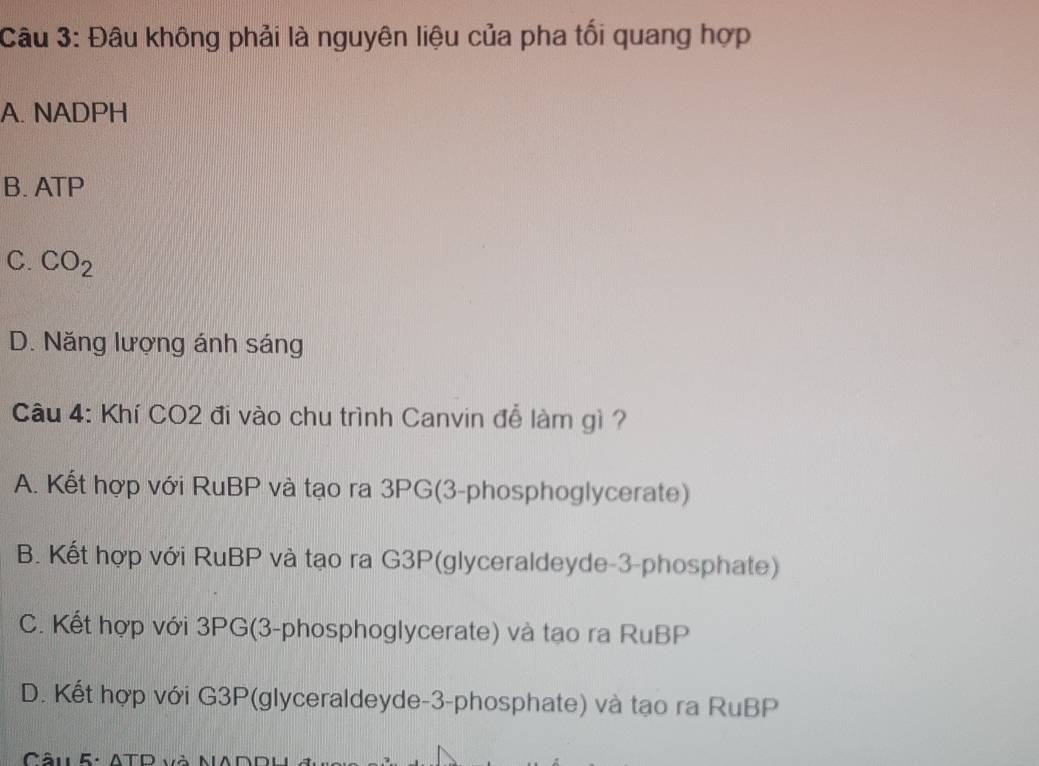 Đâu không phải là nguyên liệu của pha tối quang hợp
A. NADPH
B. ATP
C. CO_2
D. Năng lượng ánh sáng
Cầu 4: Khí CO2 đi vào chu trình Canvin đễ làm gì ?
A. Kết hợp với RuBP và tạo ra 3PG(3-phosphoglycerate)
B. Kết hợp với RuBP và tạo ra G3P(glyceraldeyde-3-phosphate)
C. Kết hợp với 3PG(3-phosphoglycerate) và tạo ra RuBP
D. Kết hợp với G3P(glyceraldeyde-3-phosphate) và tạo ra RuBP
Câu 5: ATD và