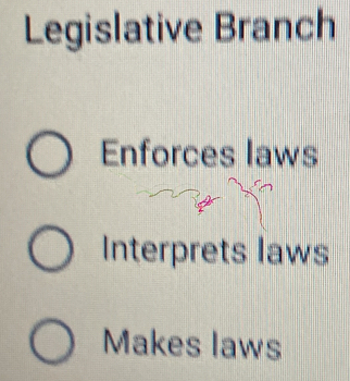 Legislative Branch
Enforces laws
Interprets laws
Makes laws