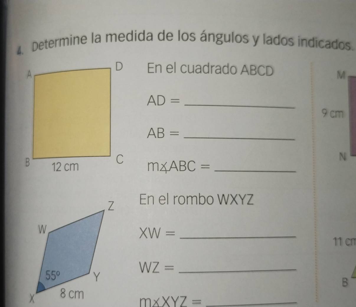 Determine la medida de los ángulos y lados indicados.
En el cuadrado ABCD
AD= _
AB= _
m∠ ABC= _
En el rombo WXYZ
_ XW=
11 cn
WZ= _
B
_ m* XYZ=