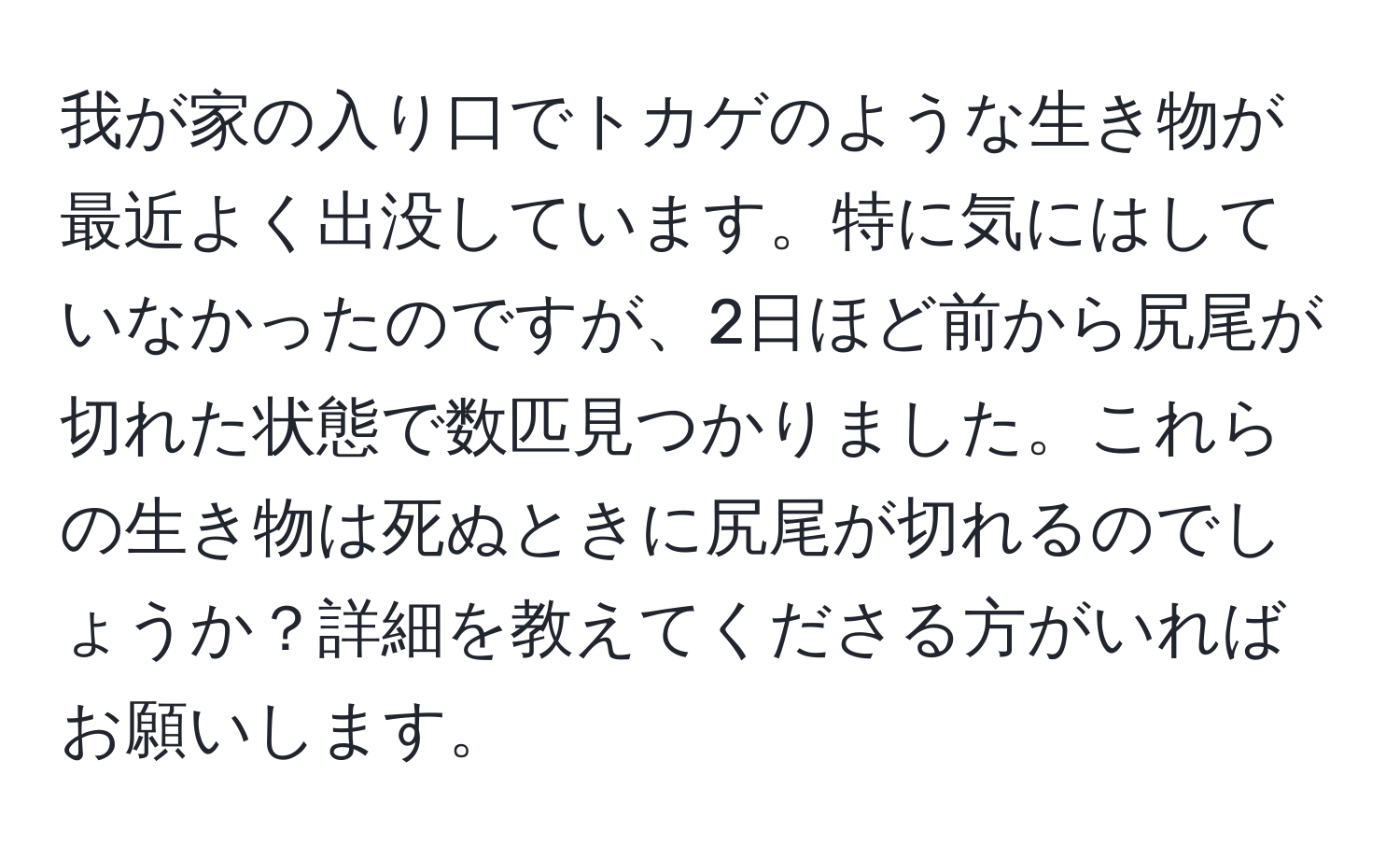 我が家の入り口でトカゲのような生き物が最近よく出没しています。特に気にはしていなかったのですが、2日ほど前から尻尾が切れた状態で数匹見つかりました。これらの生き物は死ぬときに尻尾が切れるのでしょうか？詳細を教えてくださる方がいればお願いします。