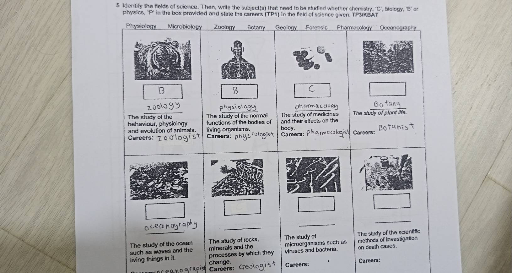 Identify the fields of science. Then, write the subject(s) that need to be studied whether chemistry, ‘C’, biology, ‘B’ or 
physics, P' in the box provided and state the careers (TP1) in the field of science given. TP3/KBAT 
Physiology Microbiology Zoology Botany Geology Forensic Pharmacology Oceanography 
B 
B 
C 
D 
pharmacdogy_ 
The study of the The study of the normal The study of medicines The study of plant life. 
behaviour, physiology functions of the bodies of and their effects on the 
and evolution of animals. living organisms. body. Careers: 
Careers: Careers: Careers: pharmacologist 
_ 
_ 
_ 
The study of the ocean The study of rocks, The study of The study of the scientific 
such as waves and the minerals and the microorganisms such as methods of investigation 
living things in it. processes by which they viruses and bacteria. on death cases. 
change. 
Careers: Careers: Careers: