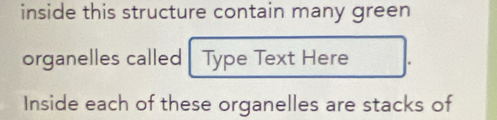 inside this structure contain many green 
organelles called| Type Text Here 
Inside each of these organelles are stacks of