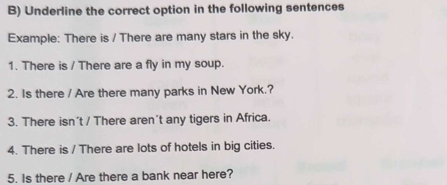 Underline the correct option in the following sentences 
Example: There is / There are many stars in the sky. 
1. There is / There are a fly in my soup. 
2. Is there / Are there many parks in New York.? 
3. There isn't / There aren't any tigers in Africa. 
4. There is / There are lots of hotels in big cities. 
5. Is there / Are there a bank near here?