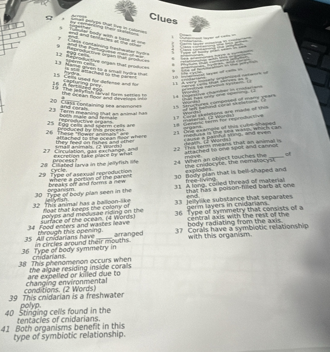 Across
Clues
3 Small polyps that live in colonies
together.
by cementing their skeletons
5 Tubular body with a base at one 2 Germ laver missing in cridarians
Down
end 1 Outermost layer of cells im
end and tentacles at the other 3Class containing the box jelles
cnidanans
7 Class containing freshwater hydra S Type of body plan seen in sea
4Class concorrine the jeylso
and the Portuguese man-of-war
9  Reproductive organ that produces
egg cells.
6 Sea anemones have a symbíobs
anemones.
12 Reproductive organ that produces anemones, hydras, and corals.
sperm cells.
9 Site of fertilization in the jeltylish
13 Name given to a small hydra that
is still attached to the parent 10 Innermost layer of cells in
hydra.
I fe cycle
capturing prey.
11 A very loosely organized network of
cnidarians
15 Cells used for defense and for
nerve cells that serves as a
16 A fertilized egg
primitive nervous system. (2
19 The jellyfish larval form settles to
the ocean floor and develops into
14 Digestive chamber in cnidarians
Words)
that has only one opening. (2 Words)
20 Class containing sea anemones
15 Structures composed of many years
and corals.
of left behind coral skeletons. (2
23 Term meaning that an animal has
17 Coral skeletons are made of this
Words)
both male and female
reproductive organs.
material. (2 Words)
25 Egg cells and sperm cells are
18 Generic term for reproductive
produced by this process.
organs.
26 These "flower animals" are
21 One example of this cube-shaped
medusa is the sea wasp, which can
cause a painful sting, and even
attached to the ocean floor where
they feed on fishes and other
death. (2 Words)
22 This term means that an animal is
small animals. (2 Words)
attached to one spot and cannot
27 Circulation, gas exchange, and
excretion take place by what
process?
24 When an object touches the _of
28 Ciliated larva in the jellyfish life move.
the cnidocyte, the nematocyst
cycle.
29 Type of asexual reproduction
explodes.
breaks off and forms a new 30 Body plan that is bell-shaped and
where a portion of the parent
free-living.
30 Type of body plan seen in the 31 A long, coiled thread of material
organism.
that has a poison-filled barb at one
jellyfish. end.
32 This animal has a balloon-like
float that keeps the colony of 33 Jellylike substance that separates
polyps and medusae riding on the germ layers in cnidarians.
surface of the ocean. (4 Words) 36 Type of symmetry that consists of a
34 Food enters and wastes leave central axis with the rest of the
through this opening. body radiating from the axis.
35 All cnidarians have_ arranged 37 Corals have a symbiotic relationship
in circles around their mouths. with this organism.
36 Type of body symmetry in
cnidarians.
38 This phenomenon occurs when
the algae residing inside corals
are expelled or killed due to
changing environmental
conditions. (2 Words)
39 This cnidarian is a freshwater
polyp.
40 Stinging cells found in the
tentacles of cnidarians.
41 Both organisms benefit in this
type of symbiotic relationship.