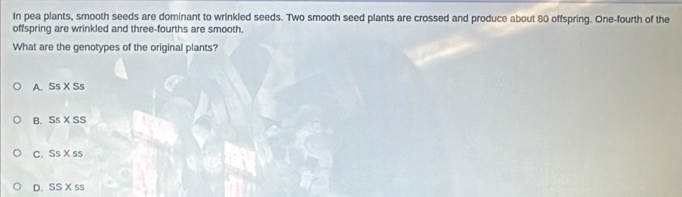 In pea plants, smooth seeds are dominant to wrinkled seeds. Two smooth seed plants are crossed and produce about 80 offspring. One-fourth of the
offspring are wrinkled and three-fourths are smooth.
What are the genotypes of the original plants?
A. SSXSS
B. SSXSS
C. SSXss
D. SSXss