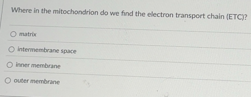 Solved: Where in the mitochondrion do we find the electron transport ...