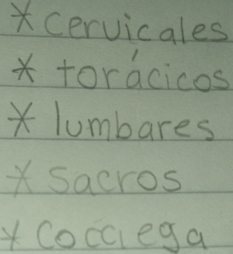 cervicales 
* toracicos
X lumbares
X sacros
x Cocc eg a