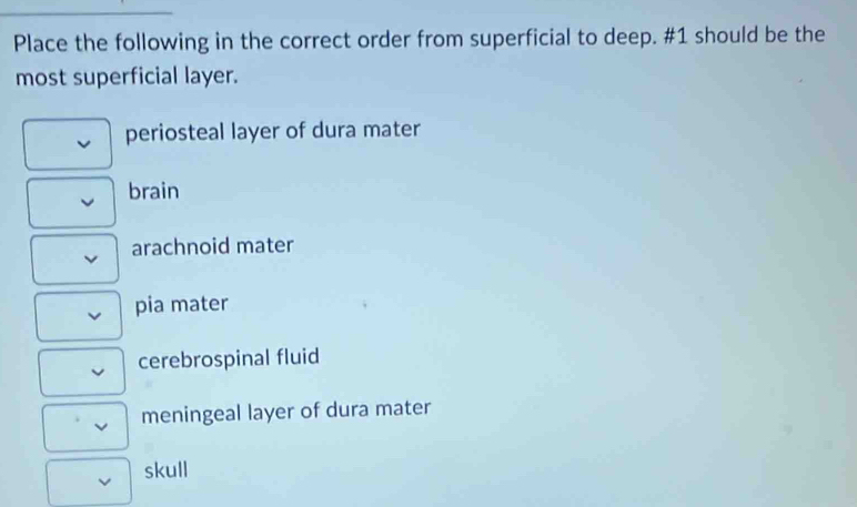 Solved: Place the following in the correct order from superficial to ...