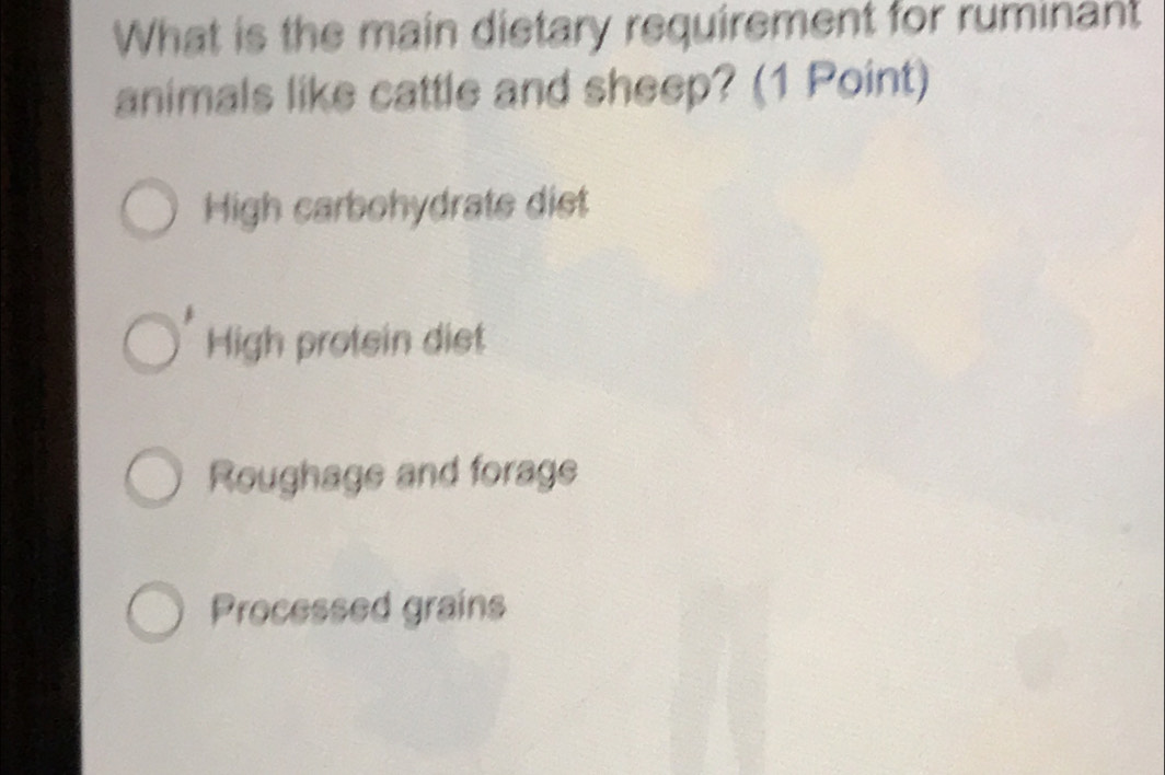 What is the main dietary requirement for ruminant
animals like cattle and sheep? (1 Point)
High carbohydrate diet
High protein diet
Roughage and forage
Processed grains