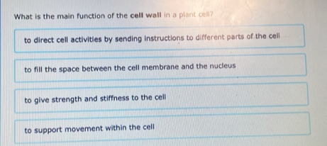 Solved: What is the main function of the cell wall in a plant cell? to ...