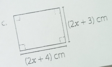 (2x+4)cm