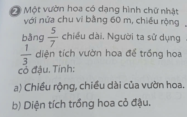 Một vườn hoa có dạng hình chữ nhật 
với nửa chu vi bằng 60 m, chiều rộng 
bằng  5/7  chiều dài. Người ta sử dụng
 1/3  diện tích vườn hoa để trồng hoa 
cỏ đậu. Tính: 
a) Chiều rộng, chiều dài của vườn hoa. 
b) Diện tích trồng hoa cỏ đậu.