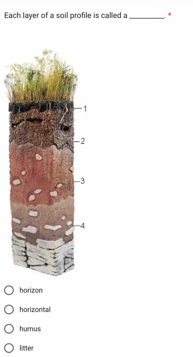 Each layer of a soil profile is called a_ .*
horizon
horizontal
humus
litter