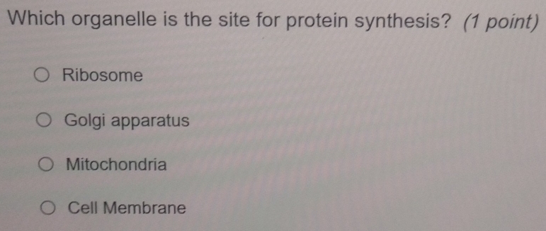 Which organelle is the site for protein synthesis? (1 point)
Ribosome
Golgi apparatus
Mitochondria
Cell Membrane