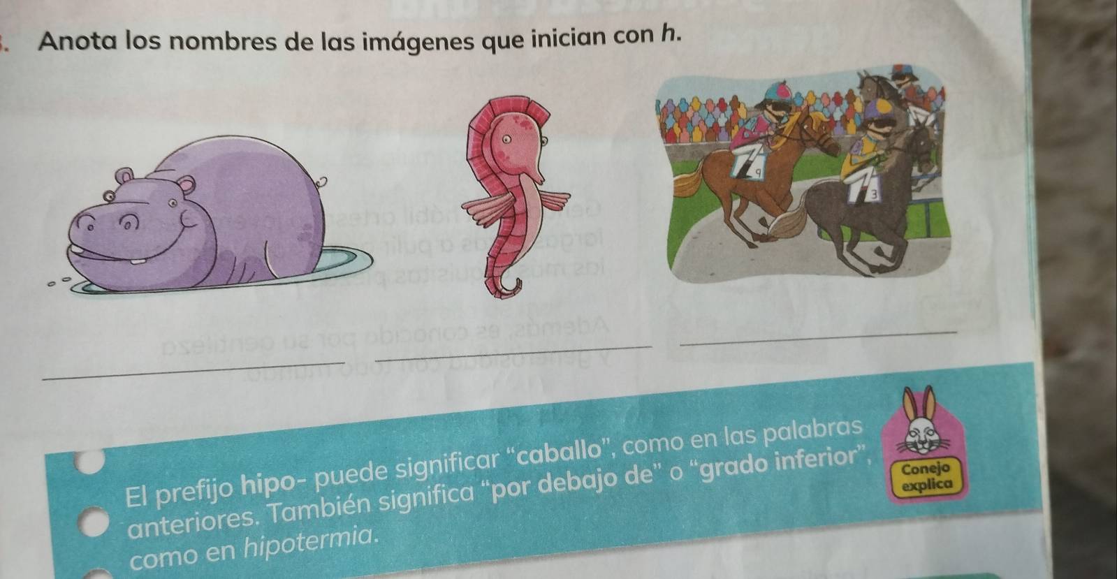 Anota los nombres de las imágenes que inician con h. 
_ 
_ 
_ 
El prefijo hipo- puede significar “caballo”, como en las palabras 
explica 
anteriores. También significa “por debajo de” o “grado inferior” Conejo 
como en hipotermia.