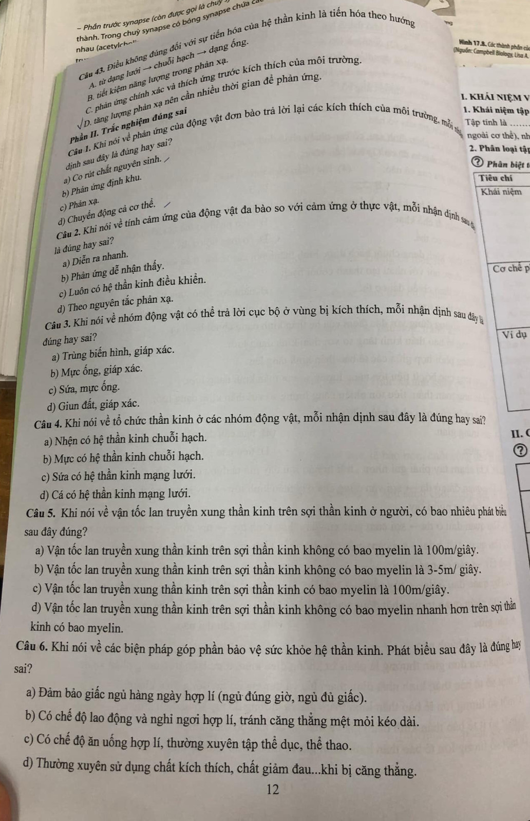 Phần trước synapse (còn được gọi là chuy
nhau (acetylcho  thành. Trong chuỳ synapse có bóng synapse chứa c
Câu 43. Điều không đúng đối với sự tiến hóa của hệ thần kinh là tiến hóa theo hướng
(Nguồn: Campbell Biology, Lisa A.
r
A. từ dạng lưới → chuỗi hạch → dạng ống
Hình 17,8, Các thành phần cử
B. tiết kiệm năng lượng trong phản xạ
C. phản ứng chính xác và thích ứng trước kích thích của mội trường
1. khải niệm v
D. tăng lượng phản xạ nên cần nhiều thời gian đề phản ứng
Phần II. Trắc nghiệm đúng sai
1. Khái niệm tập
Câu 1. Khì nói về phản ứng của động vật đơn bào trả lời lại các kích thích của môi trường, mỗi Tập tính là
ngoài cơ thể), nh
dịnh sau đây là đúng hay sai?
2. Phân loại tập
a) Co rút chất nguyên sinh.
③ Phân biệt t
b) Phản ứng định khu.
Tiêu chí
Khái niệm
c) Phản xạ.
d) Chuyển động cả cơ thể.
Câu 2. Khi nói về tính cảm ứng của động vật đa bào so với cảm ứng ở thực vật, mỗi nhận dịnh sau 
là đúng hay sai?
a) Diễn ra nhanh.
b) Phản ứng dễ nhận thấy.
Cơ chế p
c) Luôn có hệ thần kinh điều khiển.
d) Theo nguyên tắc phản xạ.
Câu 3. Khi nói về nhóm động vật có thể trả lời cục bộ ở vùng bị kích thích, mỗi nhận dịnh sau đây là
dúng hay sai?
Ví dụ
a) Trùng biến hình, giáp xác.
b) Mực ống, giáp xác.
c) Sứa, mực ống.
d) Giun đất, giáp xác.
Câu 4. Khi nói về tổ chức thần kinh ở các nhóm động vật, mỗi nhận dịnh sau đây là đúng hay sai?
a) Nhện có hệ thần kinh chuỗi hạch. II. (
b) Mực có hệ thần kinh chuỗi hạch.
②
c) Sứa có hệ thần kinh mạng lưới.
d) Cá có hệ thần kinh mạng lưới.
Câu 5. Khi nói về vận tốc lan truyền xung thần kinh trên sợi thần kinh ở người, có bao nhiêu phát biểu
sau đây đúng?
a) Vận tốc lan truyền xung thần kinh trên sợi thần kinh không có bao myelin là 100m/giây.
b) Vận tốc lan truyền xung thần kinh trên sợi thần kinh không có bao myelin là 3-5m/ giây.
c) Vận tốc lan truyền xung thần kinh trên sợi thần kinh có bao myelin là 100m/giây.
d) Vận tốc lan truyền xung thần kinh trên sợi thần kinh không có bao myelin nhanh hơn trên sợi thằn
kinh có bao myelin.
Câu 6. Khi nói về các biện pháp góp phần bảo vệ sức khỏe hệ thần kinh. Phát biểu sau đây là đúng hay
sai?
a) Đảm bảo giấc ngủ hàng ngày hợp lí (ngủ đúng giờ, ngủ đủ giấc).
b) Có chế độ lao động và nghi ngơi hợp lí, tránh căng thẳng mệt mỏi kéo dài.
c) Có chế độ ăn uống hợp lí, thường xuyên tập thể dục, thể thao.
d) Thường xuyên sử dụng chất kích thích, chất giảm đau...khi bị căng thắng.
12