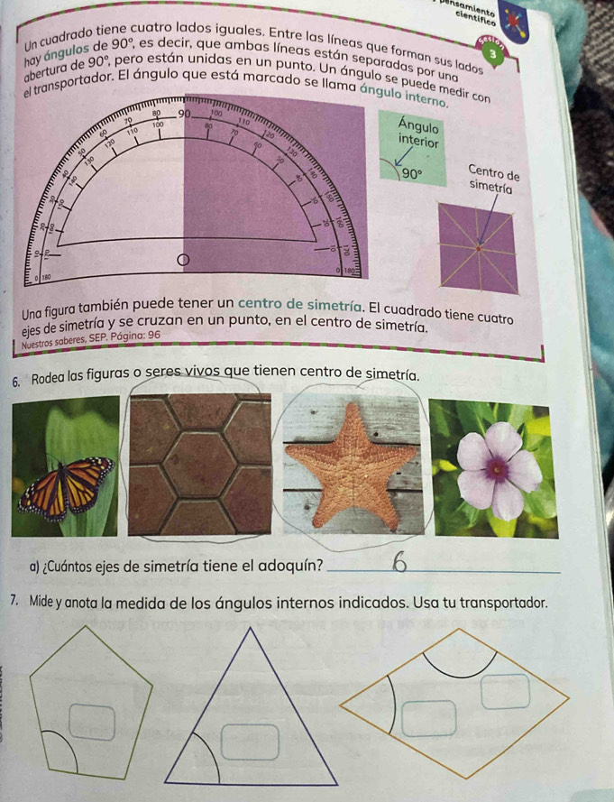 mnsamients científica
Un cuadrado tie cuatro lados iguales. Entre las líneas que forman sus lados 3
ábertura de hay ángulos de 90° , es decir, que ambas líneas están separadas por una
90° E pero están unidas en un punto. Un ángulo se puede medir con
transportador. El ángulo que está marcado se llama o interno.
Ángulo
interior
90°
Centro de simetría
Una figura también puede tener un centro de simetría. El cuadrado tiene cuatro
ejes de simetría y se cruzan en un punto, en el centro de simetría.
Nuestros saberes, SEP. Página: 96
las figuras o seres vivos que tienen centro de simetría.
a) ¿Cuántos ejes de simetría tiene el adoquín?_
7. Mide y anota la medida de los ángulos internos indicados. Usa tu transportador.