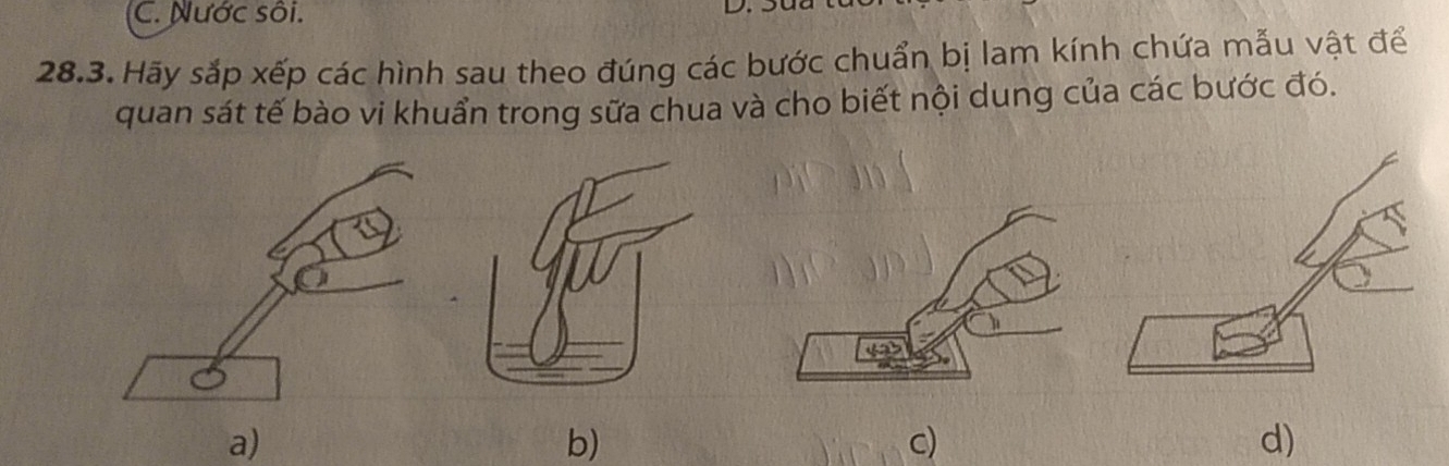 Nước sôi.
.
28.3. Hãy sắp xếp các hình sau theo đúng các bước chuẩn bị lam kính chứa mẫu vật để
quan sát tế bào vi khuẩn trong sữa chua và cho biết nội dung của các bước đó.
a)
b)
c)
d)