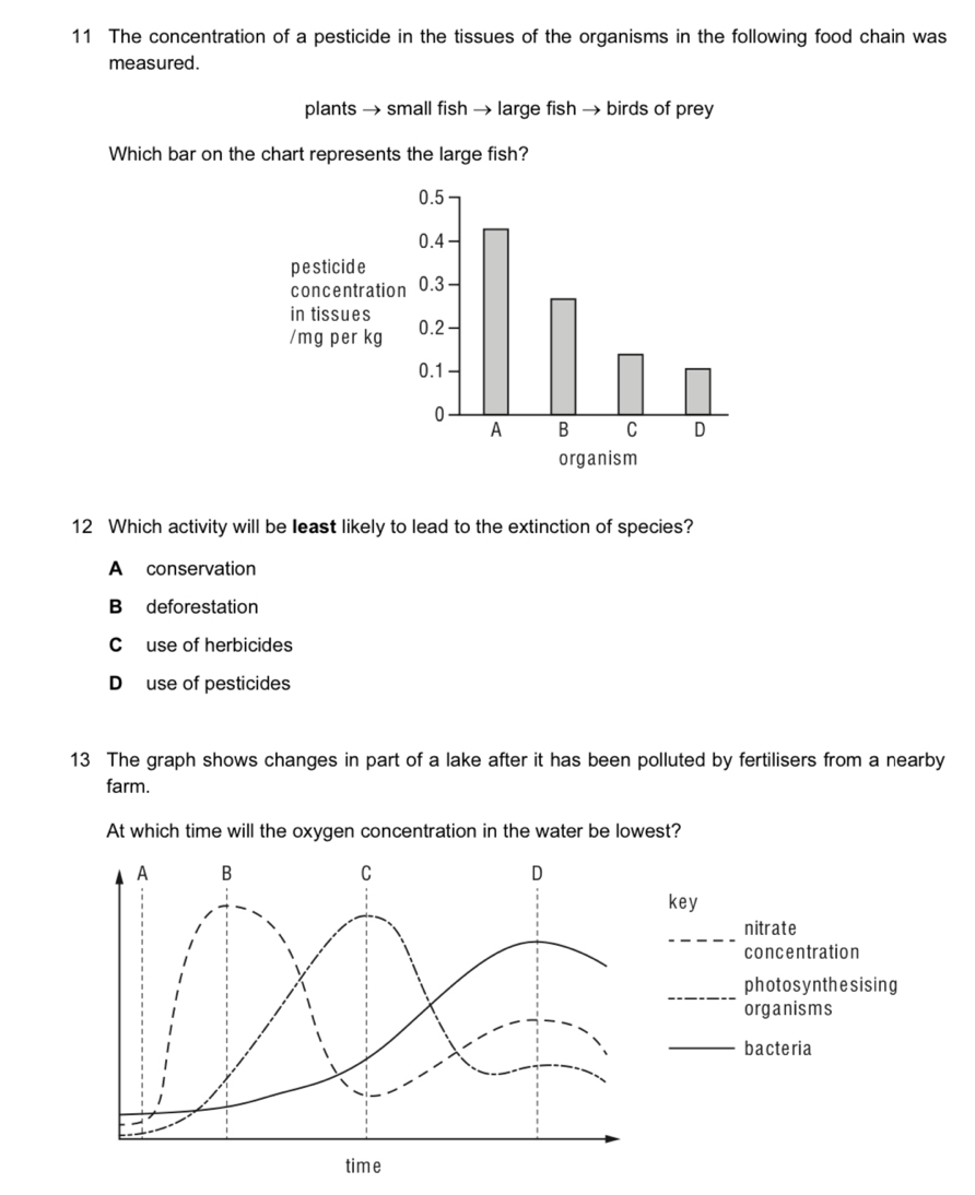 The concentration of a pesticide in the tissues of the organisms in the following food chain was
measured.
plants → small fish → large fish → birds of prey
Which bar on the chart represents the large fish?
12 Which activity will be least likely to lead to the extinction of species?
A conservation
B deforestation
Cuse of herbicides
D use of pesticides
13 The graph shows changes in part of a lake after it has been polluted by fertilisers from a nearby
farm.
At which time will the oxygen concentration in the water be lowest?
A B
C
D
key
_
nitrate
concentration
_
photosynthesising
organisms
_bacteria
time