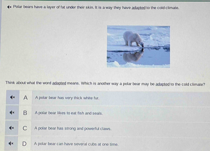 Polar bears have a layer of fat under their skin. It is a way they have adapted to the cold climate.
Think about what the word adapted means. Which is another way a polar bear may be adapted to the cold climate?
A A polar bear has very thick white fur.
B A polar bear likes to eat fish and seals.
C A polar bear has strong and powerful claws.
A polar bear can have several cubs at one time.