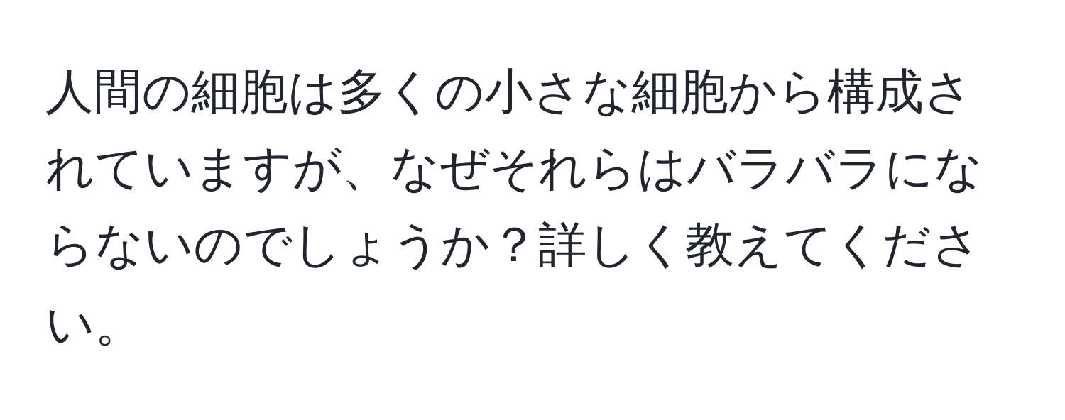 人間の細胞は多くの小さな細胞から構成されていますが、なぜそれらはバラバラにならないのでしょうか？詳しく教えてください。