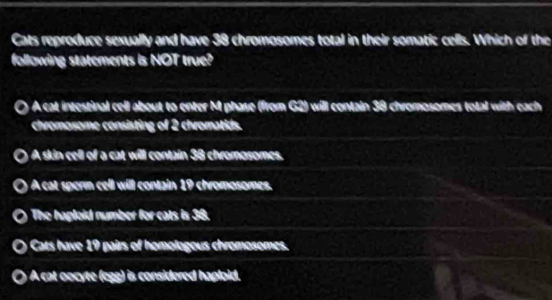 Cats reproduce sexually and have 38 chromosomes total in their somatic cells. Which of the
following statements is NOT true?
A cat intestinal cell about to enter M phase (from G2) will contain 38 chromosomes total with each
chromosome consisting of 2 chromatids.
A skin cell of a cat will contain 38 chromosomes.
A cat sporm cell will contain 19 chromosomes.
The haploid number for cats is 38.
Cats have 19 pairs of homologous chromosomes.
A cat oocyte (egg) is considered haploid.