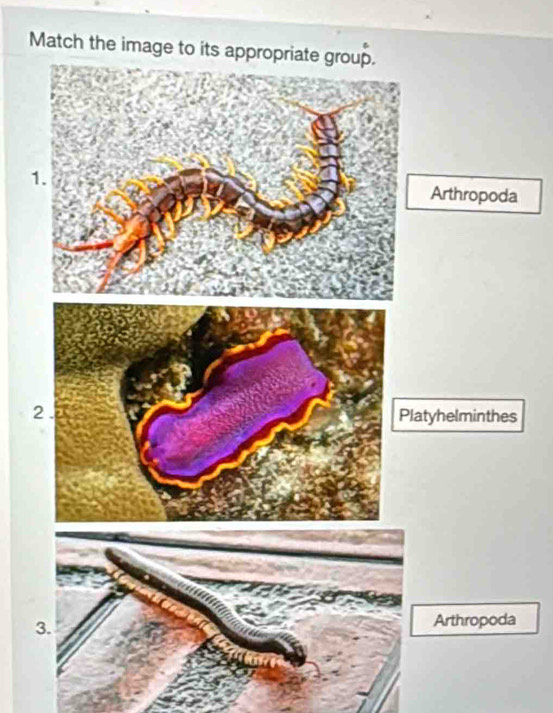 Match the image to 
1