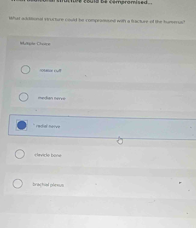 structure could be compromised...
What additional structure could be compromised with a fracture of the humerus?
Multiple Choice
rotator cuff
median nerve
radial nerve
clavicle bone
brachial plexus